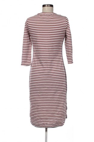 Kleid Jake*s, Größe S, Farbe Mehrfarbig, Preis 13,99 €