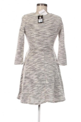 Kleid Jennifer Taylor, Größe S, Farbe Mehrfarbig, Preis € 17,99