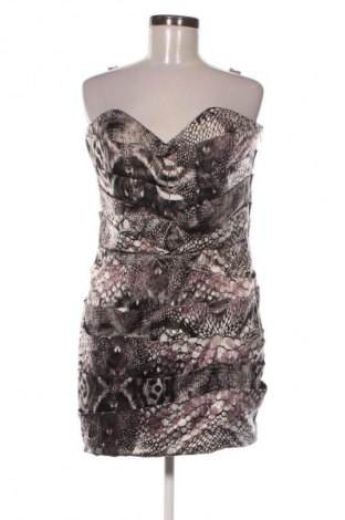 Kleid Lipsy, Größe XL, Farbe Mehrfarbig, Preis 31,73 €