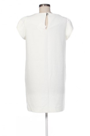 Kleid Mango, Größe M, Farbe Ecru, Preis 17,00 €