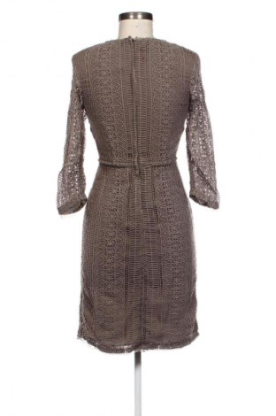 Kleid Massimo Dutti, Größe S, Farbe Beige, Preis € 6,93