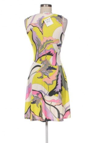 Sukienka Morgan, Rozmiar M, Kolor Kolorowy, Cena 71,99 zł