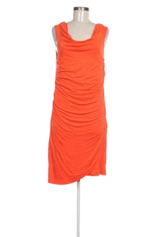 Φόρεμα Ms Mode, Μέγεθος L, Χρώμα Πορτοκαλί, Τιμή 14,99 €