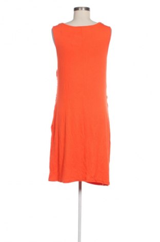 Φόρεμα Ms Mode, Μέγεθος L, Χρώμα Πορτοκαλί, Τιμή 14,99 €