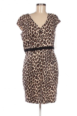 Šaty  Oasis, Velikost L, Barva Vícebarevné, Cena  696,00 Kč