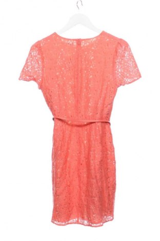 Šaty  Oasis, Velikost M, Barva Růžová, Cena  693,00 Kč