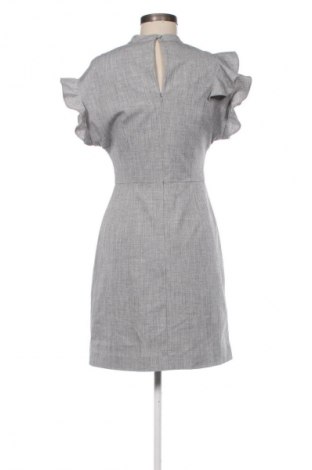 Kleid Oliver Bonas, Größe S, Farbe Grau, Preis 24,55 €