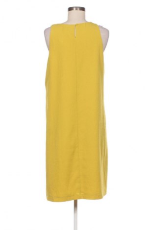 Kleid Opus, Größe L, Farbe Grün, Preis € 27,99