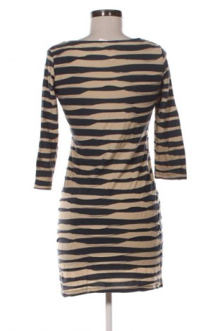 Kleid Phase Eight, Größe M, Farbe Mehrfarbig, Preis 41,99 €