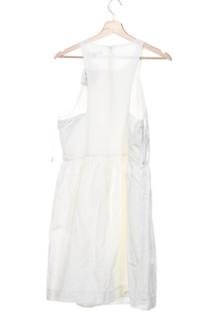 Kleid Tara Jarmon, Größe XL, Farbe Ecru, Preis 66,00 €