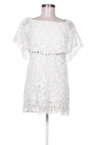 Kleid Zara, Größe S, Farbe Mehrfarbig, Preis € 13,81