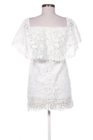 Kleid Zara, Größe S, Farbe Mehrfarbig, Preis € 13,81