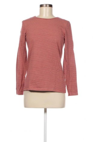 Γυναικεία μπλούζα Primark, Μέγεθος M, Χρώμα Καφέ, Τιμή 11,91 €