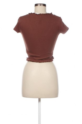 Γυναικεία μπλούζα Review, Μέγεθος S, Χρώμα Καφέ, Ελαστάνη, Τιμή 24,74 €