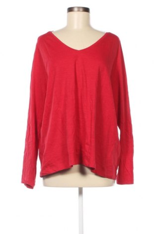 Γυναικεία μπλούζα Violeta by Mango, Μέγεθος XL, Χρώμα Κόκκινο, Βαμβάκι, Τιμή 17,63 €