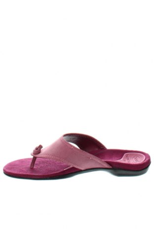 Pantofle Scholl, Velikost 39, Barva Růžová, Cena  1 478,00 Kč
