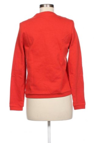 Damen Shirt, Größe S, Farbe Rot, Preis 3,68 €