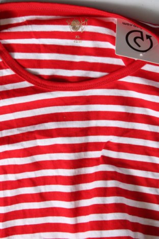 Γυναικεία μπλούζα, Μέγεθος XXL, Χρώμα Πολύχρωμο, Τιμή 10,22 €