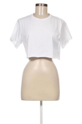 Γυναικεία μπλούζα AllSaints, Μέγεθος M, Χρώμα Λευκό, Τιμή 28,61 €