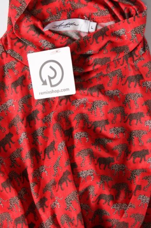 Γυναικεία μπλούζα Ambika, Μέγεθος L, Χρώμα Πολύχρωμο, Τιμή 2,59 €