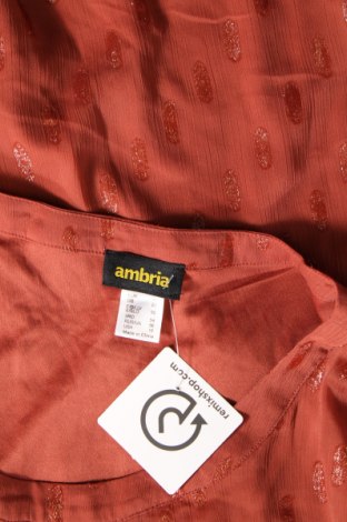 Γυναικεία μπλούζα Ambria, Μέγεθος XXL, Χρώμα Καφέ, Τιμή 9,52 €