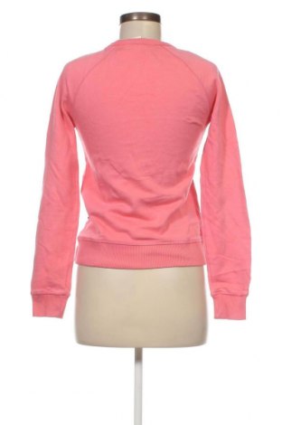 Γυναικεία μπλούζα America Today, Μέγεθος XS, Χρώμα Ρόζ , Τιμή 4,23 €
