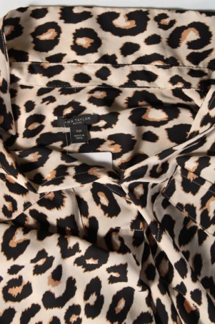 Damen Shirt Ann Taylor, Größe XS, Farbe Mehrfarbig, Preis 3,79 €