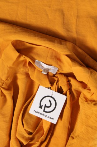 Γυναικεία μπλούζα Bel&Bo, Μέγεθος M, Χρώμα Κίτρινο, Τιμή 11,75 €