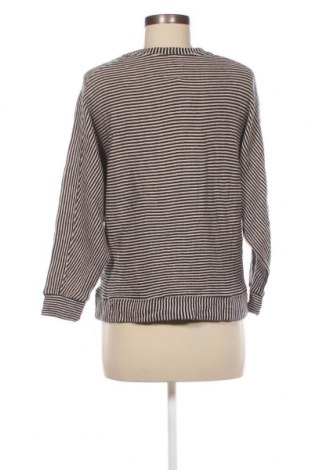 Γυναικεία μπλούζα Bellerose, Μέγεθος S, Χρώμα Πολύχρωμο, Τιμή 5,01 €