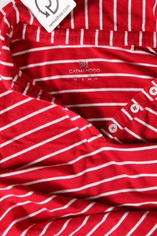 Γυναικεία μπλούζα Catmandoo, Μέγεθος M, Χρώμα Κόκκινο, Τιμή 2,52 €