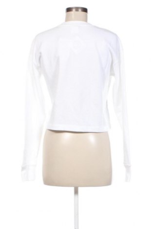 Γυναικεία μπλούζα Champion, Μέγεθος XS, Χρώμα Λευκό, Τιμή 12,99 €