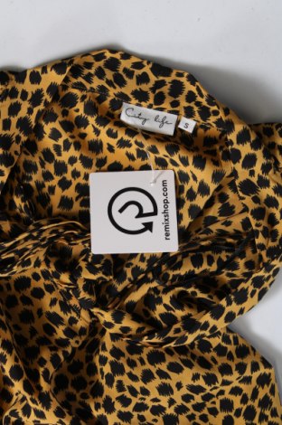 Γυναικεία μπλούζα City life, Μέγεθος S, Χρώμα Πολύχρωμο, Τιμή 2,00 €