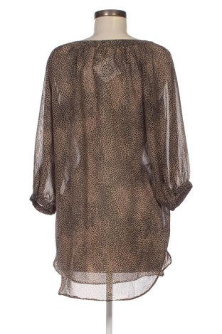 Γυναικεία μπλούζα Dorothy Perkins, Μέγεθος M, Χρώμα Πολύχρωμο, Τιμή 2,97 €