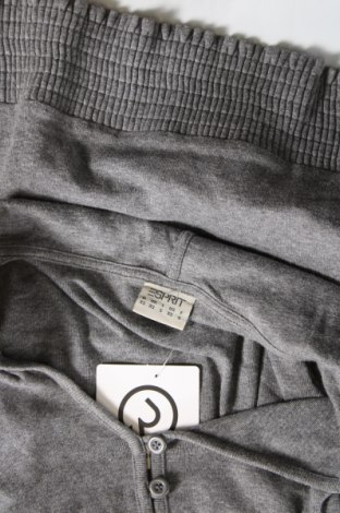 Damen Shirt Esprit, Größe XS, Farbe Grau, Preis 3,34 €