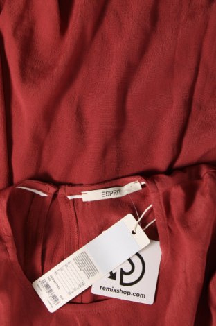 Damen Shirt Esprit, Größe XS, Farbe Braun, Preis 3,71 €