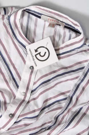 Γυναικεία μπλούζα Esprit, Μέγεθος XL, Χρώμα Πολύχρωμο, Τιμή 6,68 €