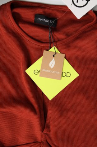 Γυναικεία μπλούζα Even&Odd, Μέγεθος L, Χρώμα Καφέ, Τιμή 3,84 €