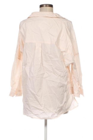 Γυναικεία μπλούζα French Connection, Μέγεθος L, Χρώμα Εκρού, Τιμή 12,41 €