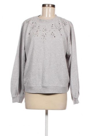 Γυναικεία μπλούζα Hampton Republic, Μέγεθος M, Χρώμα Γκρί, Τιμή 4,01 €