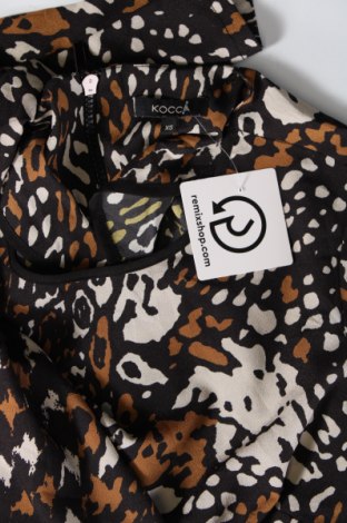 Damen Shirt Kocca, Größe XS, Farbe Mehrfarbig, Preis € 6,62