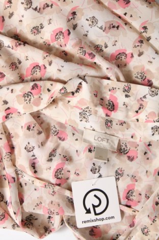 Γυναικεία μπλούζα Loft, Μέγεθος XS, Χρώμα Πολύχρωμο, Τιμή 21,03 €
