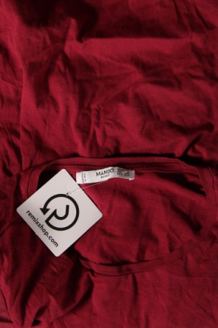 Γυναικεία μπλούζα Mango, Μέγεθος XS, Χρώμα Κόκκινο, Τιμή 4,33 €