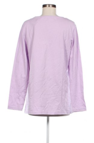 Γυναικεία μπλούζα My Wear, Μέγεθος XXL, Χρώμα Βιολετί, Τιμή 6,35 €