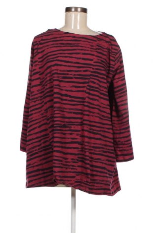 Γυναικεία μπλούζα Nanso, Μέγεθος XL, Χρώμα Ρόζ , Τιμή 6,83 €