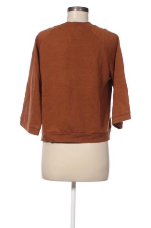 Damen Shirt ONLY, Größe XS, Farbe Braun, Preis € 10,44