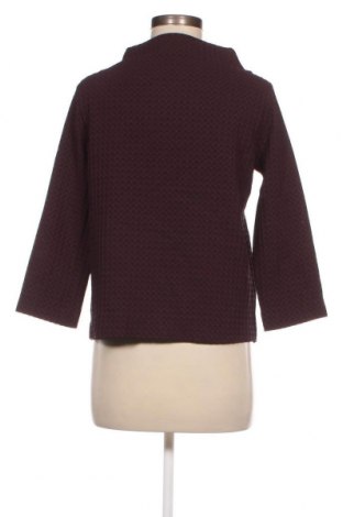 Damen Shirt Opus, Größe S, Farbe Lila, Preis € 23,66