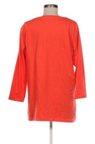 Γυναικεία μπλούζα Paprika, Μέγεθος XL, Χρώμα Πορτοκαλί, Τιμή 9,21 €