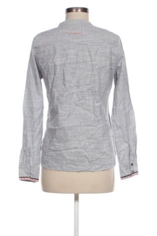 Damen Shirt Plus Fine, Größe S, Farbe Mehrfarbig, Preis 18,09 €