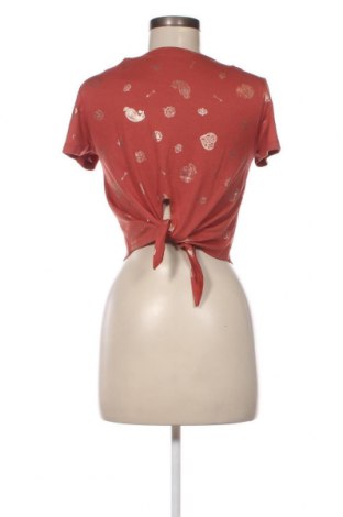 Damen Shirt Terranova, Größe S, Farbe Mehrfarbig, Preis € 9,62
