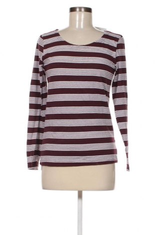 Γυναικεία μπλούζα Tissaia, Μέγεθος L, Χρώμα Πολύχρωμο, Τιμή 3,17 €